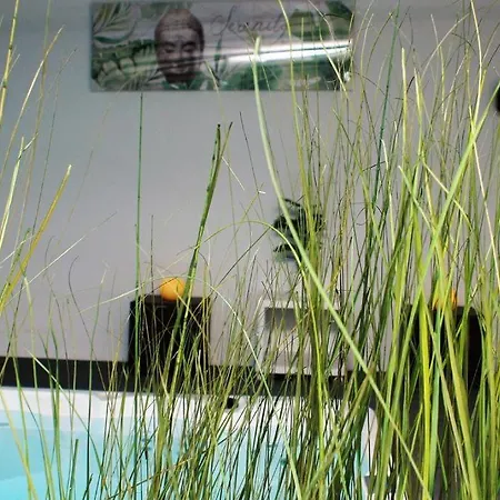 Panzió Jingtu Wellness