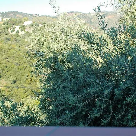 Jingtu Wellness * Comares